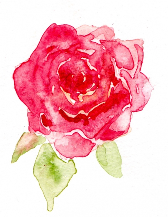 Wedding Flowers Cornwall 7